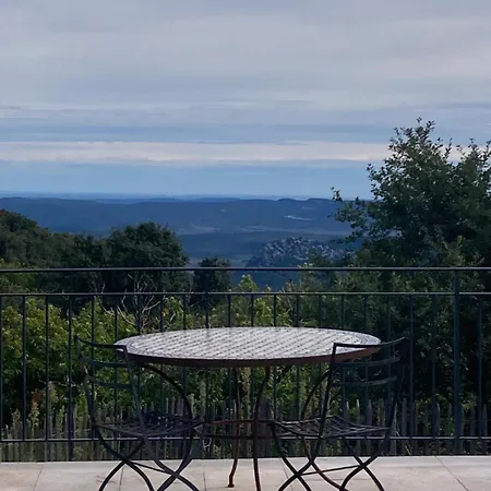 Hébergement de vacances Maison De 12 Et Piscine